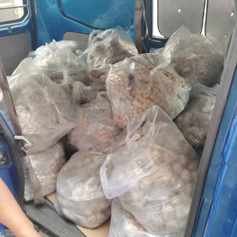 Nơi chuyên cung cấp bò viên ngon nhất thị trường được nhiều khách hàng lựa chọn